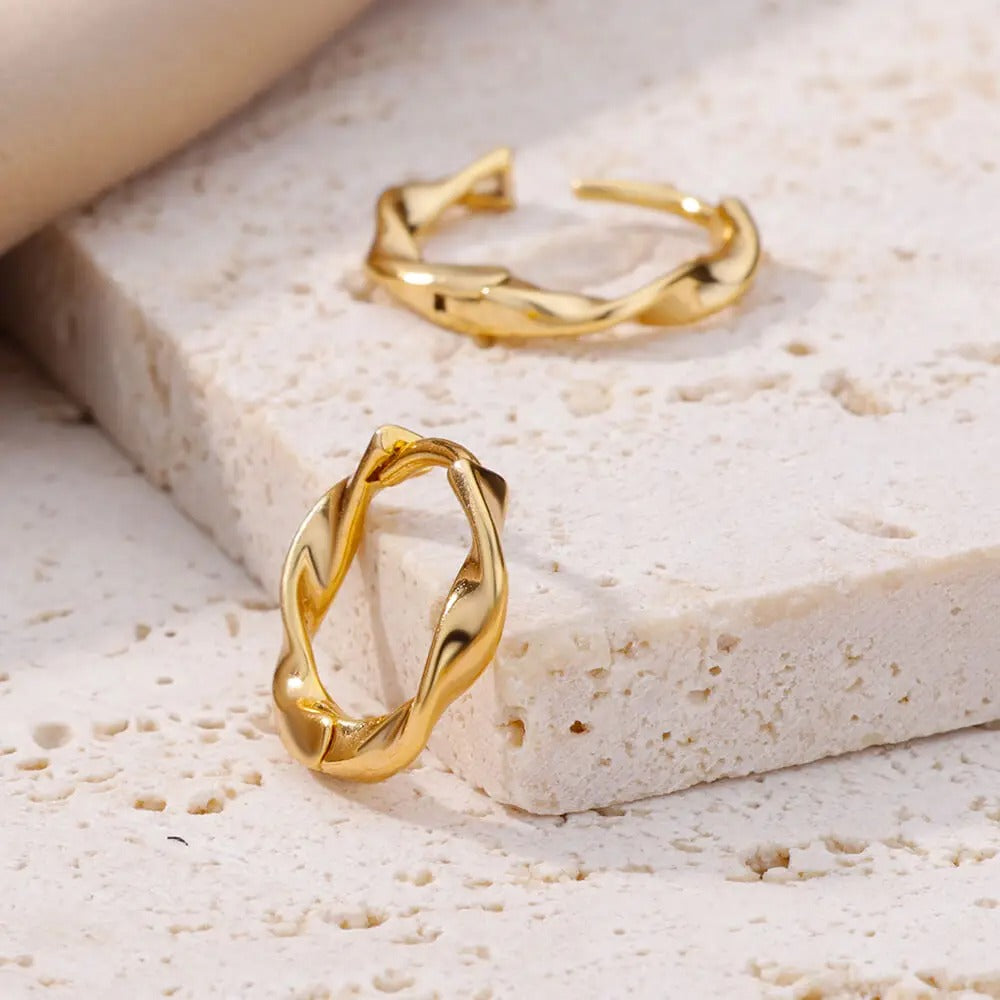 Twisted Hoop Earrings – Liora