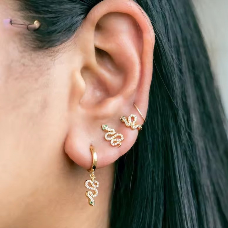 Snake Hug Earrings | Chloe