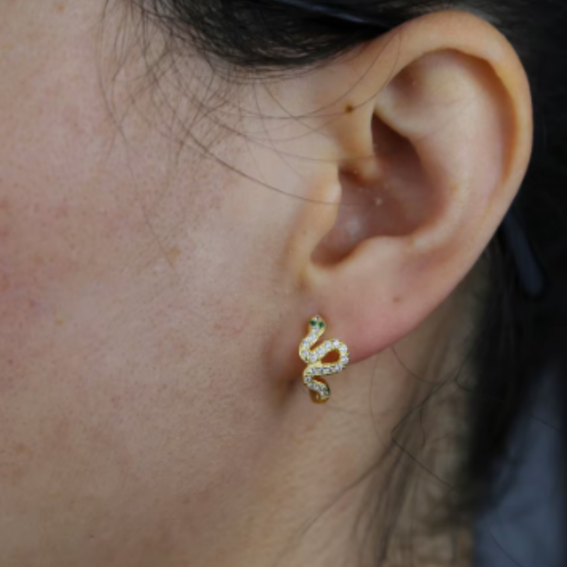 Snake Hug Earrings | Chloe