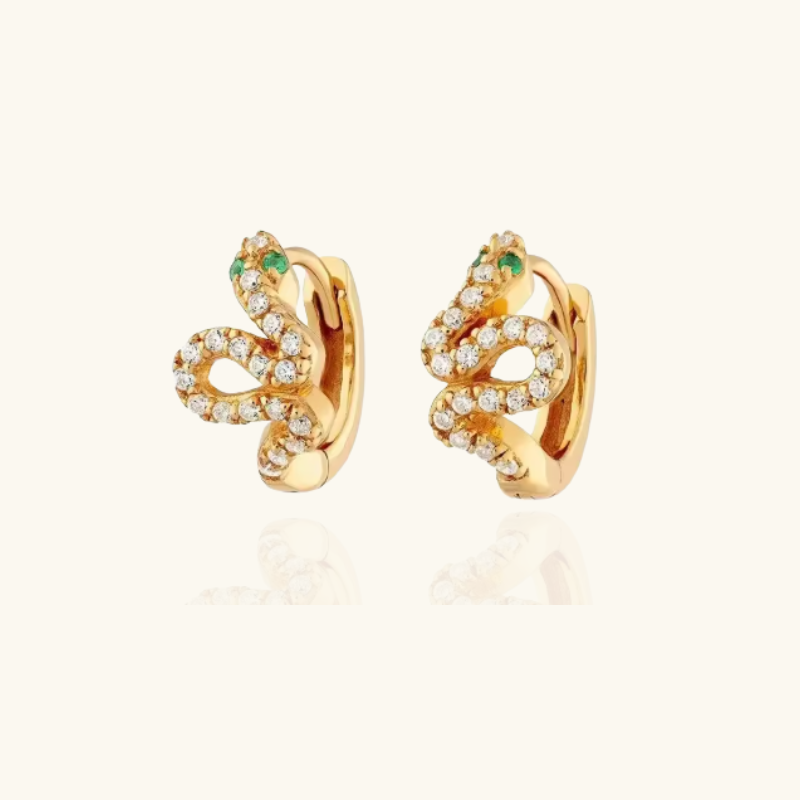 Snake Hug Earrings | Chloe
